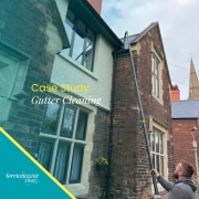 devon-gutter-cleaning devon-gutter-cleaning