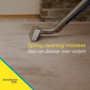 MM Blog Spring Cleaning Mistakes Carpets