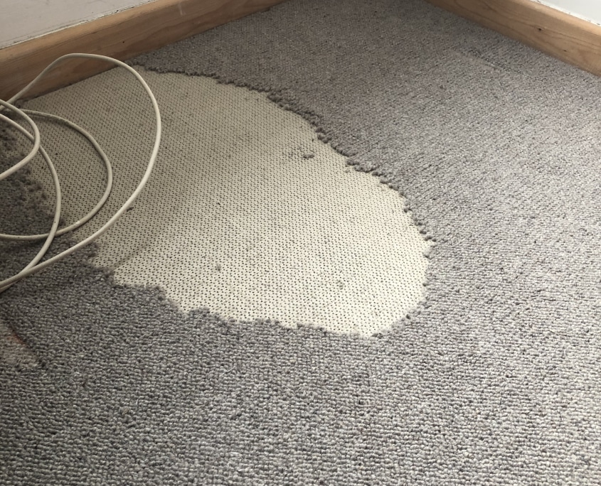 Major carpet moth damage